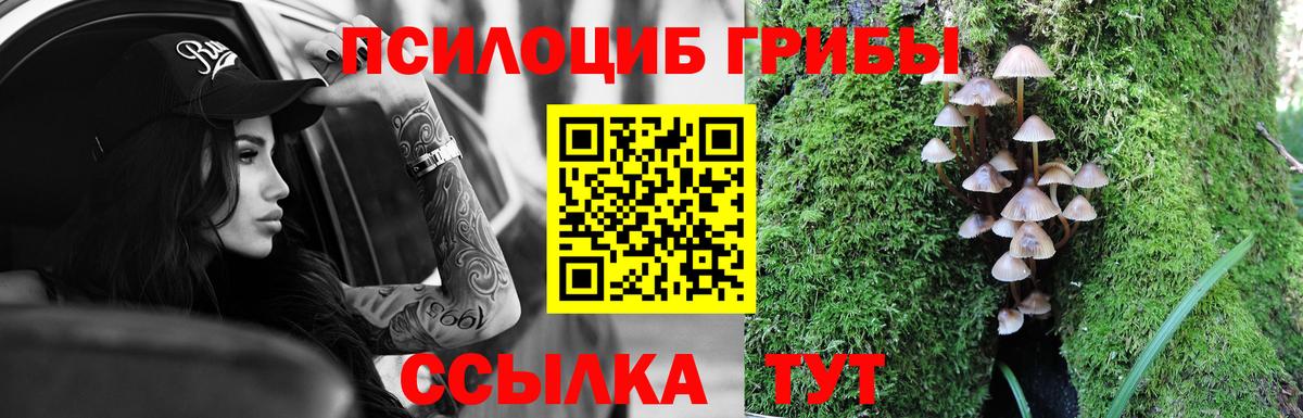Пермь  Псилоцибиновые грибы Psilocybe  Вход с VPN  Галлюциногенные грибы GOLDEN TEACHER 